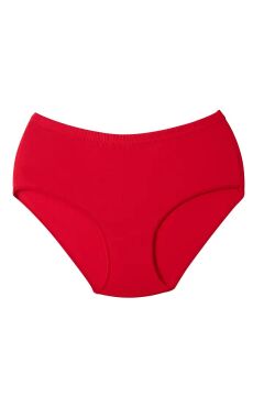 Tutku 0923 Renkli Bayan Ribana Bato Külot 12'li