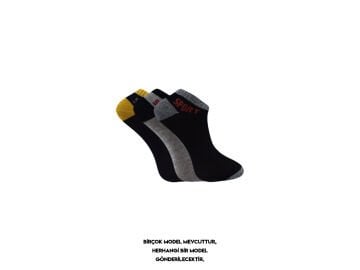 Vip 203 (3-12 Yaş) Kız Erkek Çocuk Patik Çorap 12'li