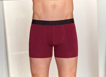 Berrak 4476 Erkek Modal Boxer
