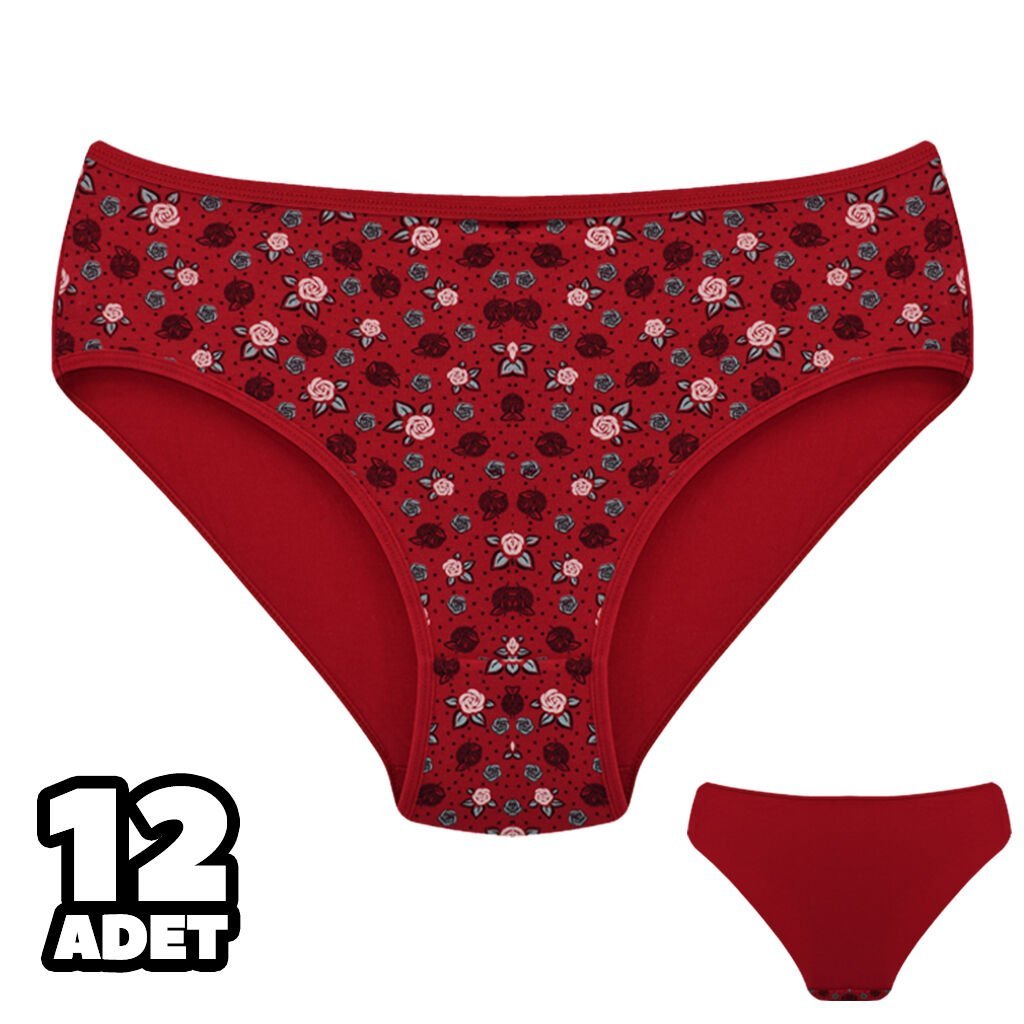 Dondeza 201-142 Desenli Bayan Ara Beden Külot 12'li