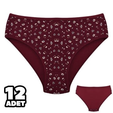 Dondeza 201-136 Desenli Bayan Ara Beden Külot 12'li