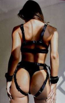 NIGHTLIGHT 8070 Kelepçe Boyunluk Seti Harness
