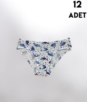 Kota 1018 Desenli Erkek Çocuk Külot 12'li