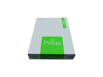 Punto 8484 Yıkamalı Dikişsiz Ter Emici Bayan Bambu Patik Çorap 12'li