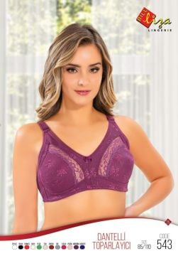 Liza 543 Yarı Dantelli Bayan Toparlayıcı Sütyen