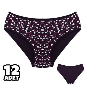 Dondeza 201-169 Desenli Bayan Ara Beden Külot 12'li