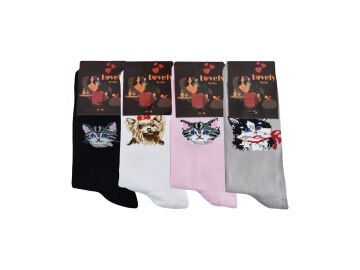 Şirin 4400 (36-40) Dikişsiz Bayan Desenli Penye Çorap 12'li