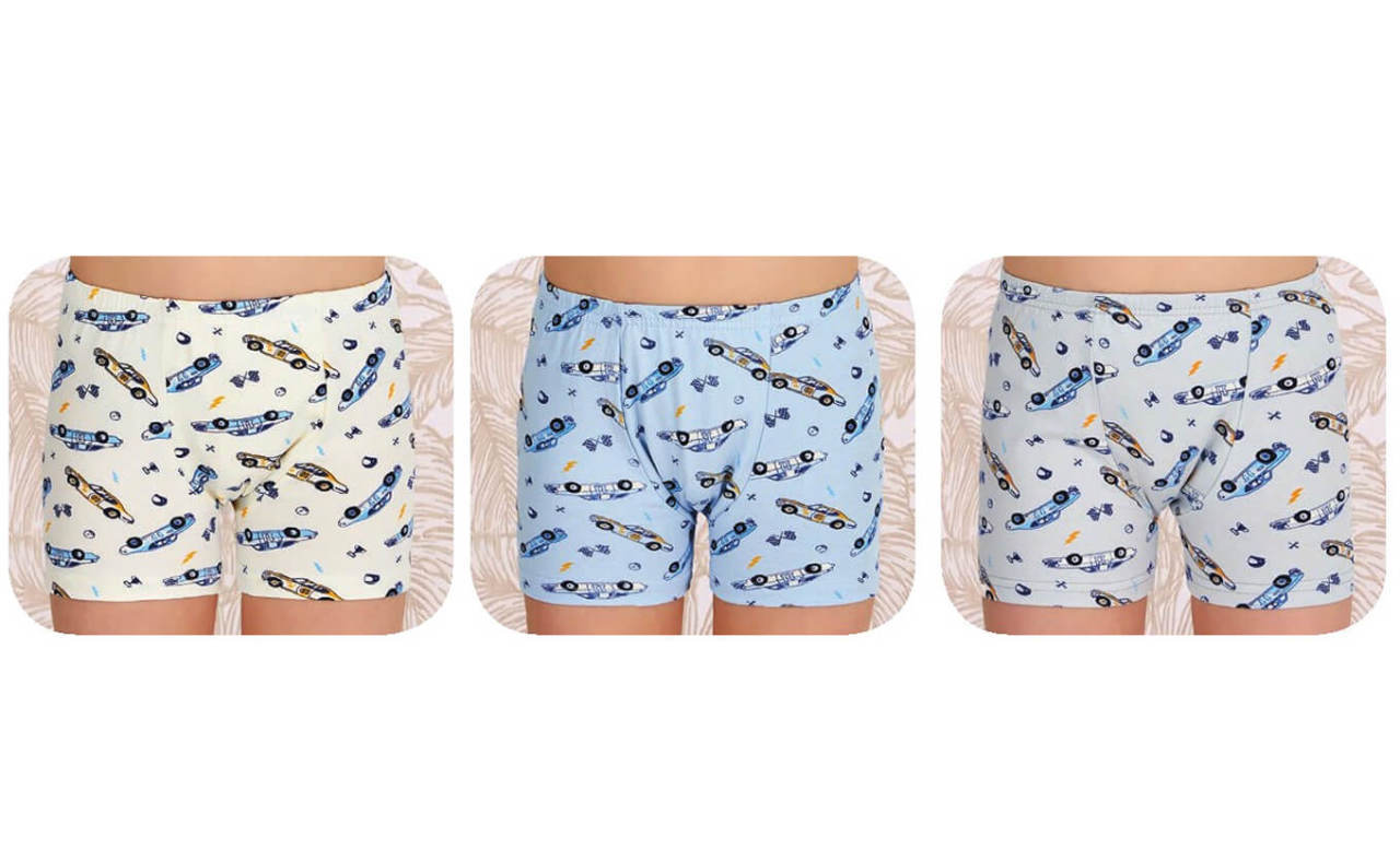 Berrak 5428 Erkek Çocuk Boxer2'li