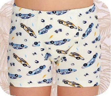 Berrak 5428 Erkek Çocuk Boxer2'li